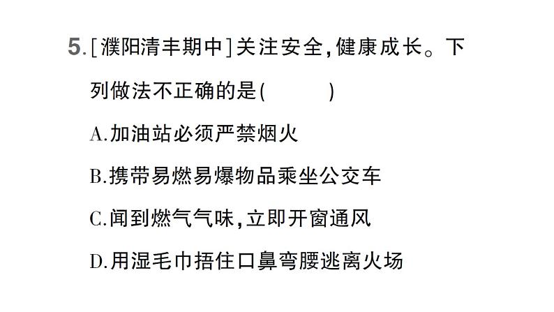 初中化学新科粤版九年级上册3.3 燃烧条件与灭火原理作业课件（2024秋）第6页