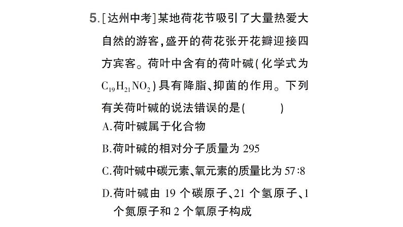 初中化学新科粤版九年级上册4.1 化学式作业课件（2024秋）第6页