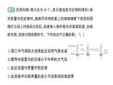 初中化学新科粤版九年级上册4.2 质量守恒定律作业课件2024秋