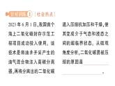 初中化學(xué)新科粵版九年級上冊5.3 二氧化碳作業(yè)課件2024秋