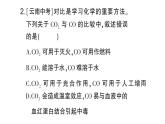 初中化學(xué)新科粵版九年級上冊5.3 二氧化碳作業(yè)課件（2024秋）