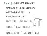 初中化學(xué)新科粵版九年級上冊5.3 二氧化碳作業(yè)課件（2024秋）