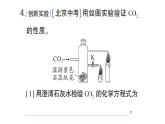 初中化學(xué)新科粵版九年級上冊5.3 二氧化碳作業(yè)課件（2024秋）