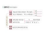 初中化学新人教版九年级上册第三单元课题2 原子结构作业课件2024秋