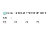 初中化學(xué)新人教版九年級上冊第三單元課題3 元素作業(yè)課件2024秋