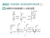初中化学新人教版九年级上册第六单元课题3 二氧化碳的实验室制取作业课件2024秋