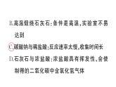 初中化学新人教版九年级上册第六单元课题3 二氧化碳的实验室制取作业课件（2024秋）