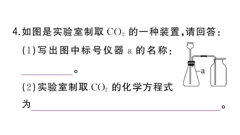 初中化学新人教版九年级上册第六单元课题3 二氧化碳的实验室制取作业课件（2024秋）06