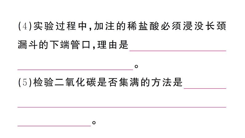 初中化学新人教版九年级上册第六单元课题3 二氧化碳的实验室制取作业课件（2024秋）08