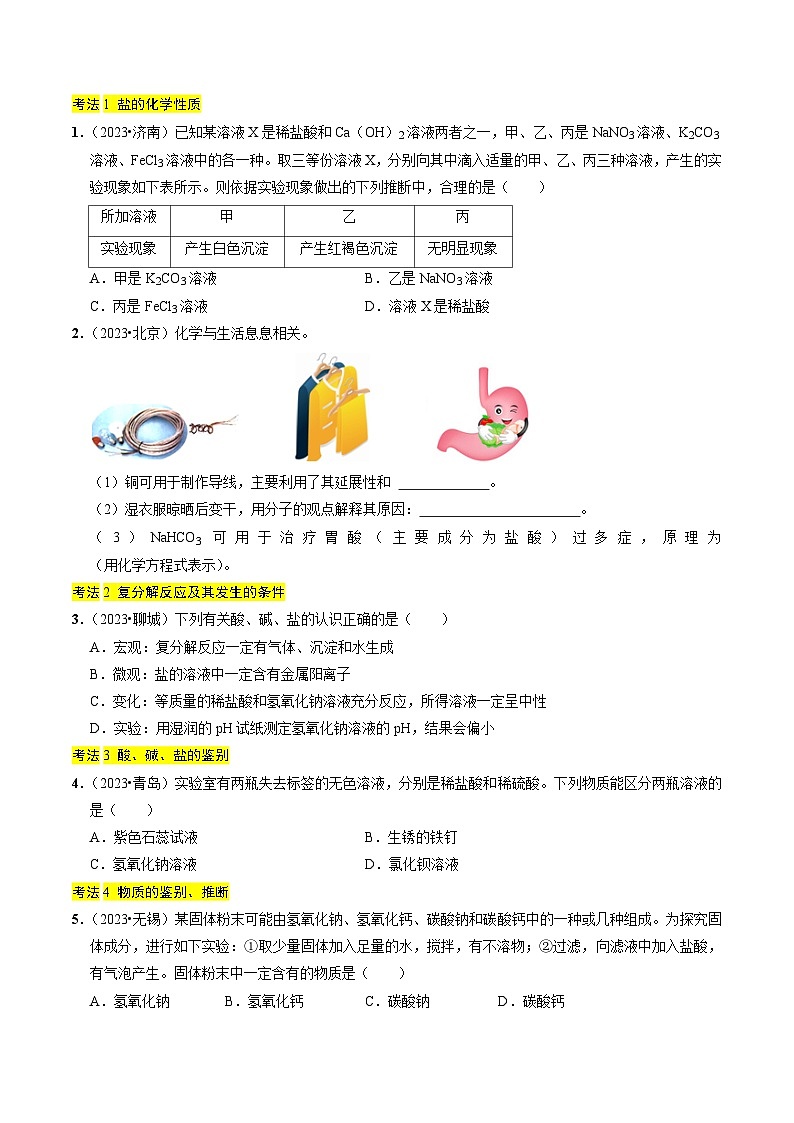 专题07  盐和化肥（原卷版）第2页