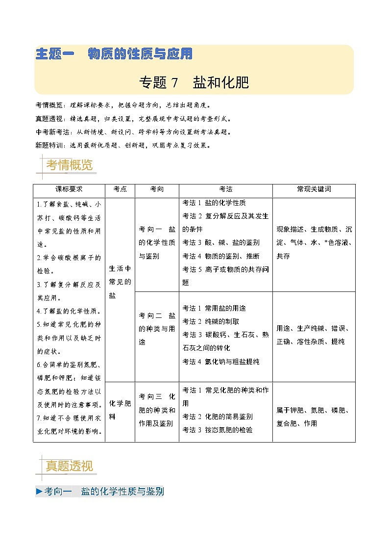 专题07  盐和化肥（解析版）第1页