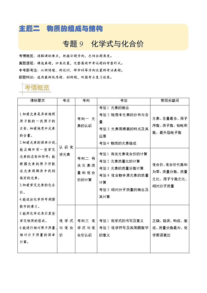 专题09  化学式与化合价（原卷版）第1页