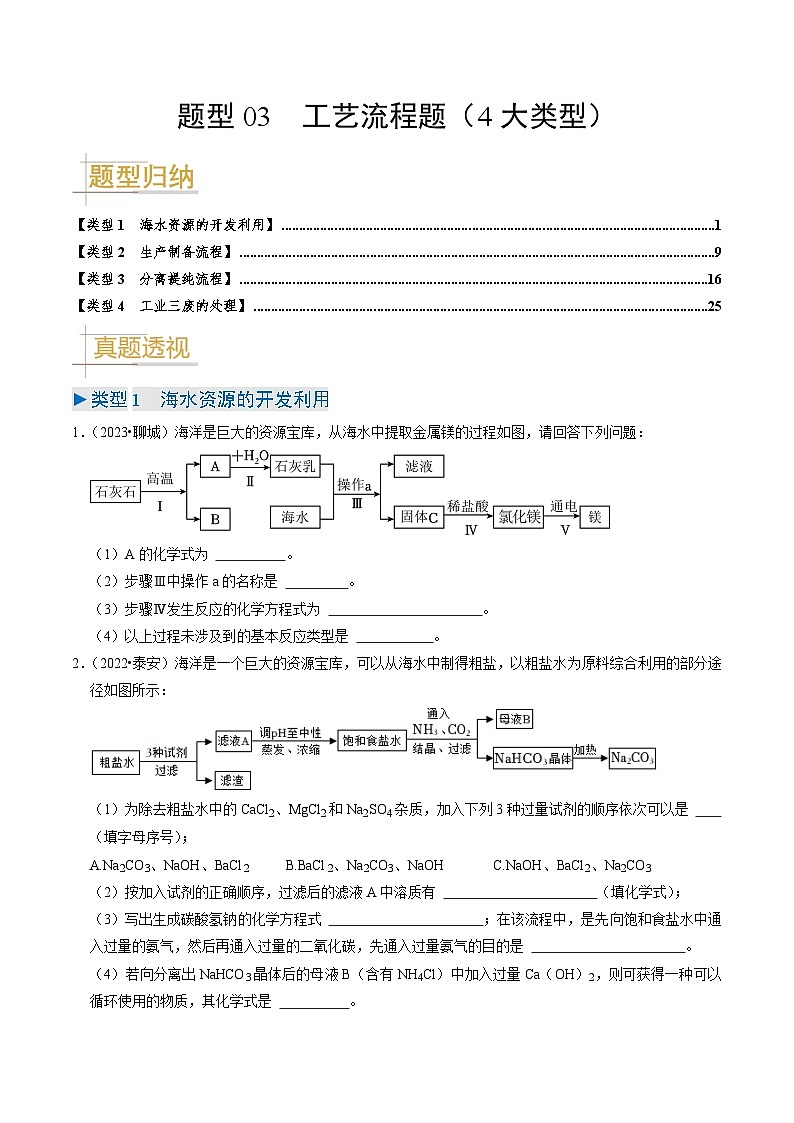 题型03  工艺流程题（4大类型）（原卷版）第1页