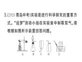 初中化学新人教版九年级上册第二单元课题3实验活动一 氧气的实验室制取与性质作业课件（2024秋）
