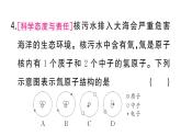 初中化学新人教版九年级上册第三单元课题2第一课时 原子的构成 相对原子质量作业课件（2024秋）