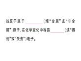 初中化学新人教版九年级上册第三单元课题2第二课时 原子核外电子的排布 离子的形成作业课件（2024秋）