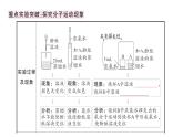 初中化學(xué)新人教版九年級上冊第三單元 物質(zhì)構(gòu)成的奧秘考點作業(yè)課件（2024秋）