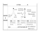 初中化學(xué)新人教版九年級上冊第三單元 物質(zhì)構(gòu)成的奧秘考點作業(yè)課件（2024秋）
