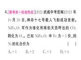 初中化学新人教版九年级上册第四单元课题3第二课时 化合价作业课件（2024秋）