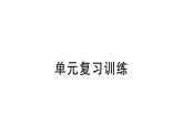 初中化學(xué)新人教版九年級上冊第六單元 碳和碳的氧化物復(fù)習(xí)訓(xùn)練作業(yè)課件（2024秋）