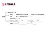 初中化學(xué)新人教版九年級上冊第六單元 碳和碳的氧化物復(fù)習(xí)訓(xùn)練作業(yè)課件（2024秋）