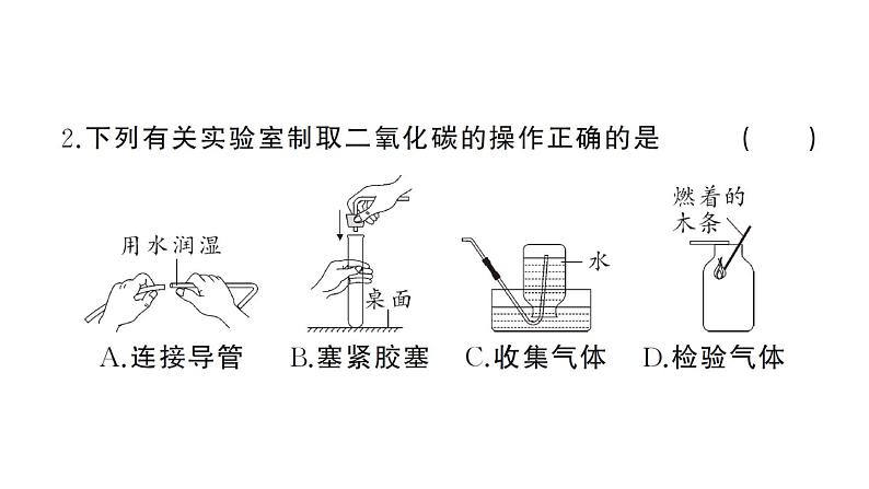 初中化学新人教版九年级上册第六单元 碳和碳的氧化物综合训练作业课件（2024秋）第3页