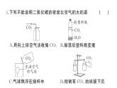 初中化學(xué)新人教版九年級上冊第六單元 碳和碳的氧化物綜合訓(xùn)練作業(yè)課件（2024秋）