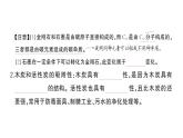 初中化學(xué)新人教版九年級上冊第六單元 碳和碳的氧化物考點(diǎn)作業(yè)課件（2024秋）