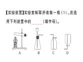 初中化学新人教版九年级上册第六单元实验活动三 二氧化碳的实验室制取与性质作业课件（2024秋）
