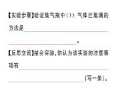 初中化学新人教版九年级上册第六单元实验活动三 二氧化碳的实验室制取与性质作业课件（2024秋）