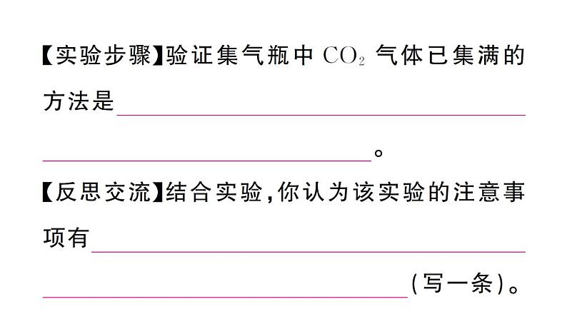 初中化学新人教版九年级上册第六单元实验活动三 二氧化碳的实验室制取与性质作业课件（2024秋）第5页