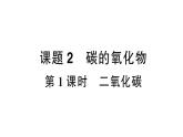 初中化学新人教版九年级上册第六单元课题2第一课时 二氧化碳作业课件（2024秋）