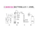 初中化学新人教版九年级上册第六单元课题2第一课时 二氧化碳作业课件（2024秋）