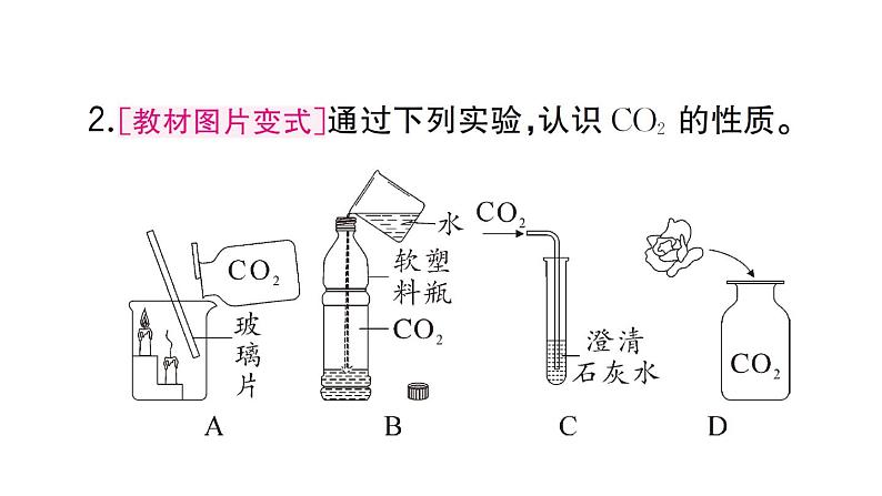 初中化学新人教版九年级上册第六单元课题2第一课时 二氧化碳作业课件（2024秋）04