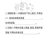 初中化学新人教版九年级上册第六单元课题2第一课时 二氧化碳作业课件（2024秋）