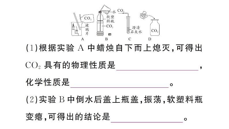 初中化学新人教版九年级上册第六单元课题2第一课时 二氧化碳作业课件（2024秋）05