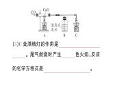 初中化学新人教版九年级上册第六单元课题2第二课时 一氧化碳作业课件（2024秋）