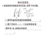 初中化学新人教版九年级上册第七单元课题1微专题 燃烧条件的实验探究作业课件（2024秋）