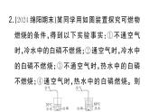 初中化學(xué)新人教版九年級(jí)上冊(cè)第七單元實(shí)驗(yàn)活動(dòng)四 燃燒條件的探究作業(yè)課件（2024秋）