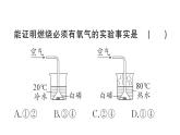 初中化學(xué)新人教版九年級(jí)上冊(cè)第七單元實(shí)驗(yàn)活動(dòng)四 燃燒條件的探究作業(yè)課件（2024秋）