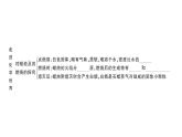 初中化学新人教版九年级上册第一单元 走进化学世界复习训练作业课件（2024秋）