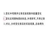 初中化学新人教版九年级上册第一单元课题2第三课时 走进科学探究作业课件（2024秋）