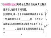 初中化学新人教版九年级上册第一单元课题2第三课时 走进科学探究作业课件（2024秋）