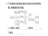 初中化學(xué)新人教版九年級上冊第三單元微專題三 物質(zhì)的組成與構(gòu)成作業(yè)課件2024秋