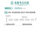 初中化學新人教版九年級上冊第四單元 自然界的水復習提升作業(yè)課件2024秋