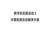 初中化學(xué)新人教版九年級上冊第四單元跨學(xué)科實踐活動三 水質(zhì)檢測及自制凈水器作業(yè)課件2024秋