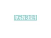 初中化學(xué)新人教版九年級上冊第六單元 碳和碳的氧化物復(fù)習(xí)提升作業(yè)課件2024秋