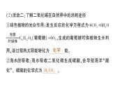 初中化學(xué)新人教版九年級(jí)上冊(cè)第六單元跨學(xué)科實(shí)踐活動(dòng)五 基于碳中和理念設(shè)計(jì)低碳行動(dòng)方案作業(yè)課件2024秋