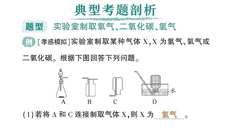 初中化学新人教版九年级上册第七单元专题三 常见气体的实验室制取作业课件2024秋第2页