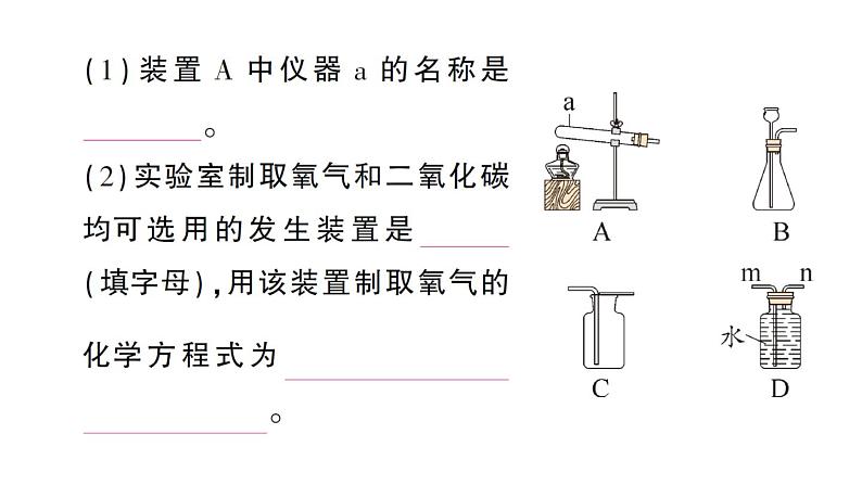 初中化学新人教版九年级上册第七单元专题三 常见气体的实验室制取作业课件2024秋第7页